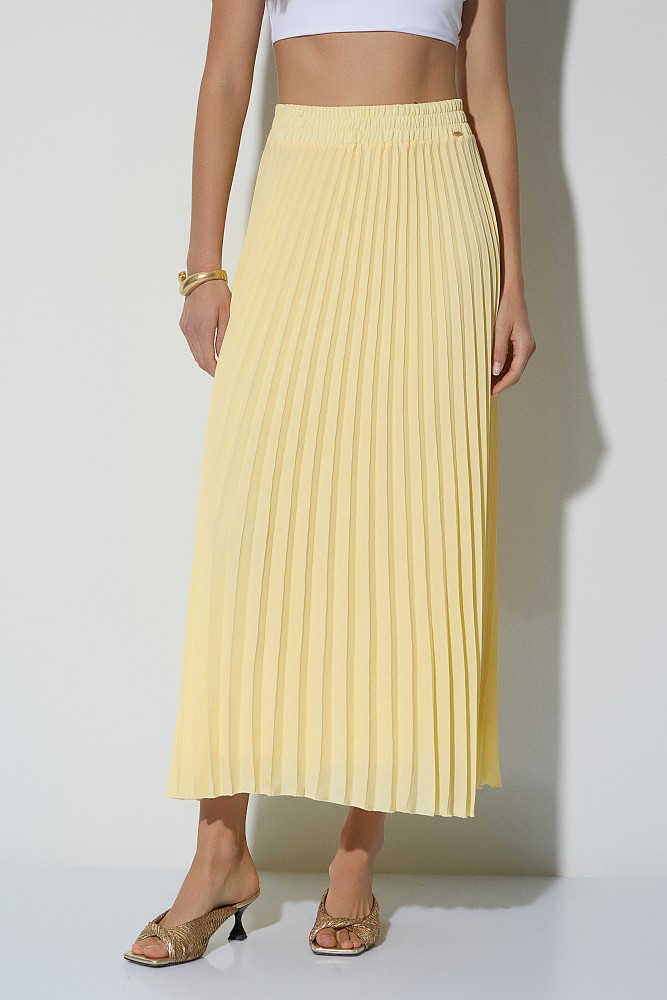 Midi pleated skirt