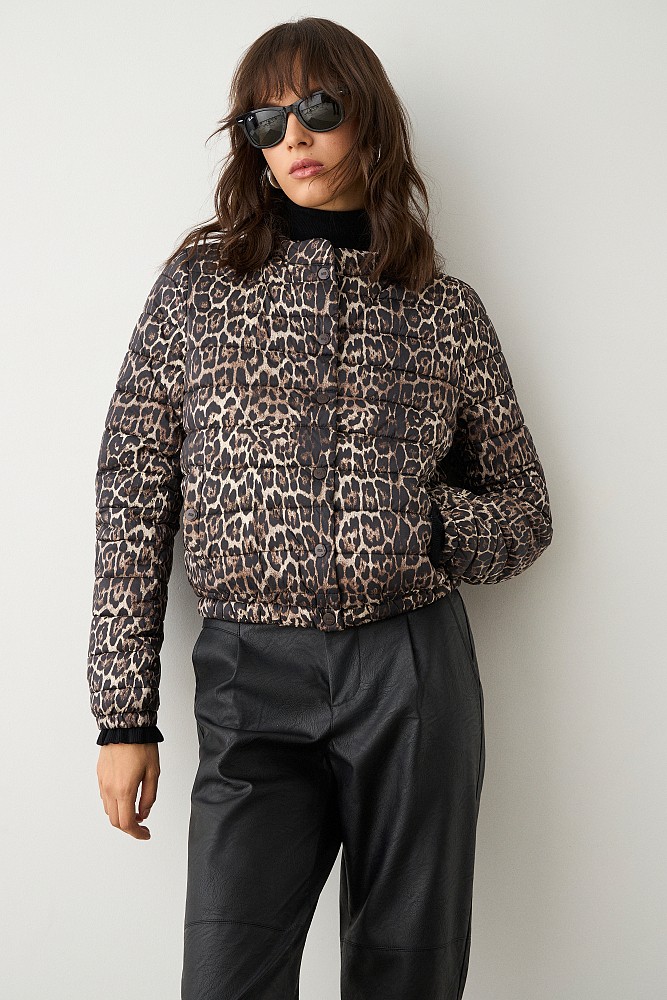 Leopard puffer