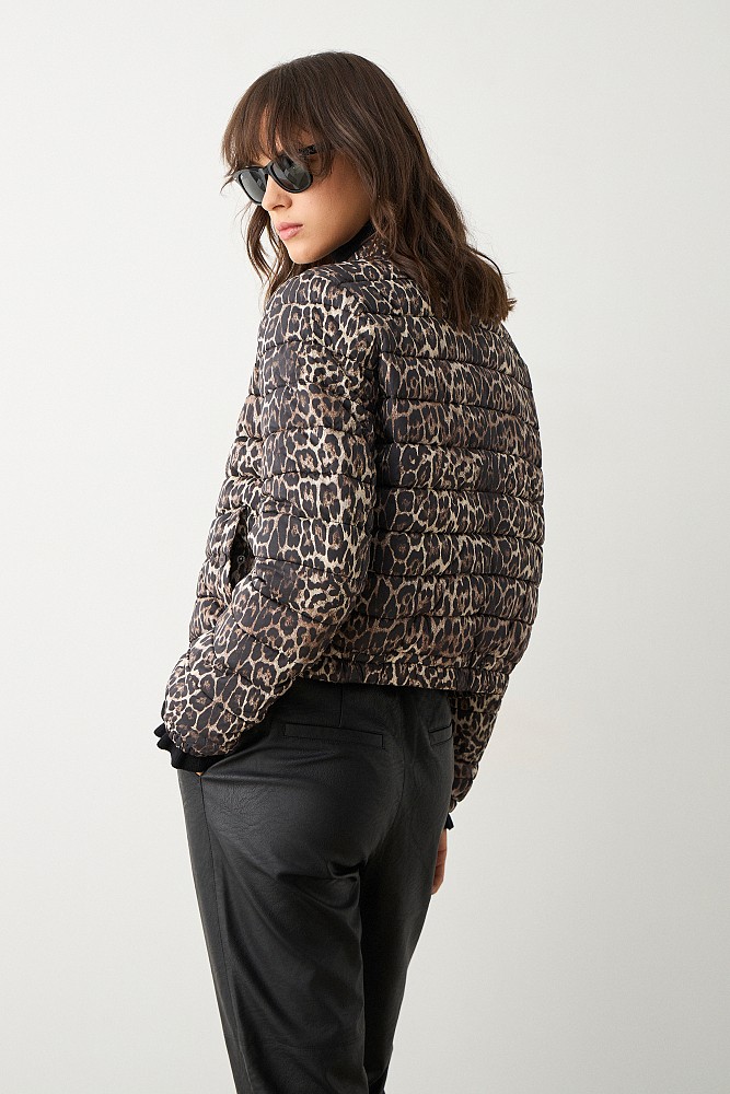 Leopard puffer