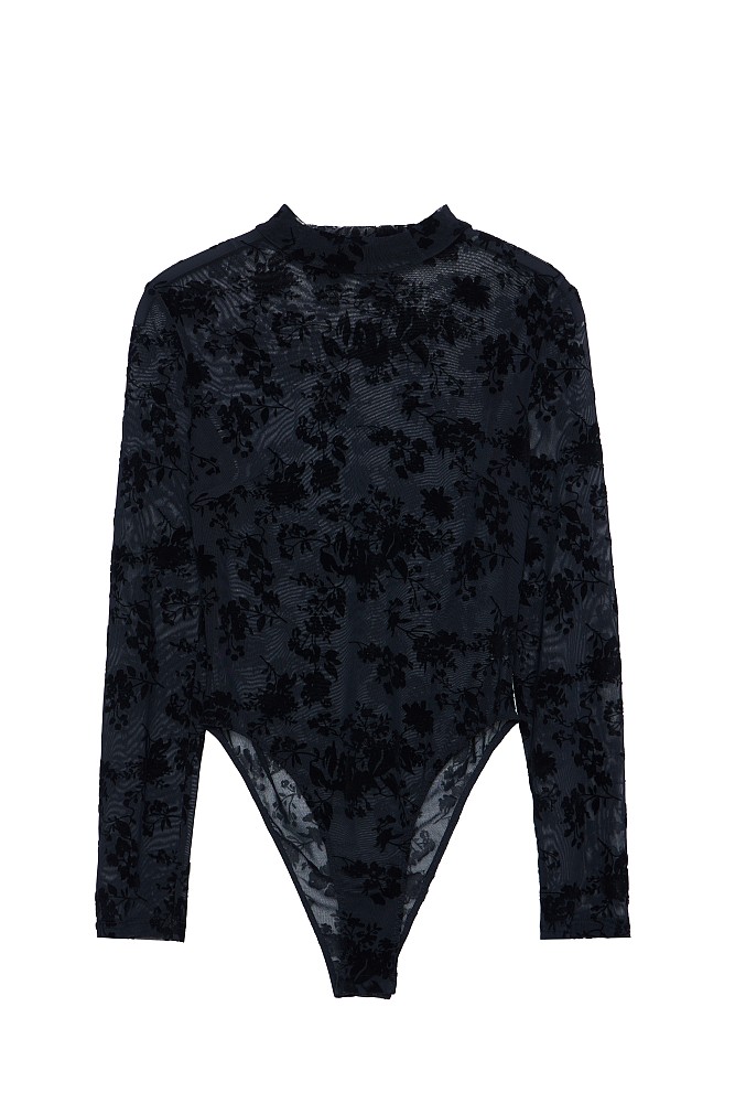 Semi sheer body with long sleeves