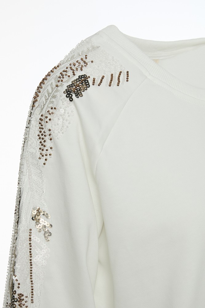 Sweatshirt with embroidered sleeves