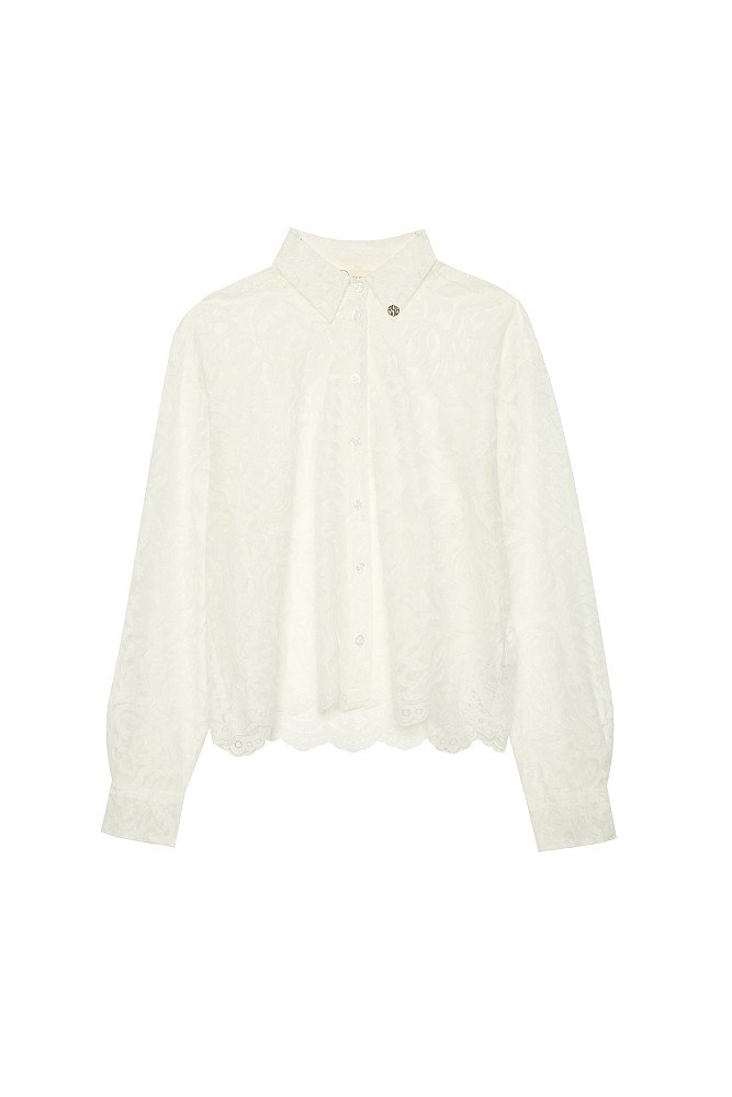Semi sheer shirt with lace