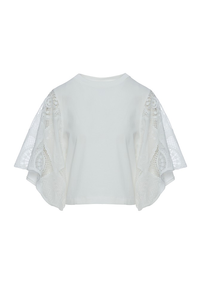 Top with embroidered short sleeves