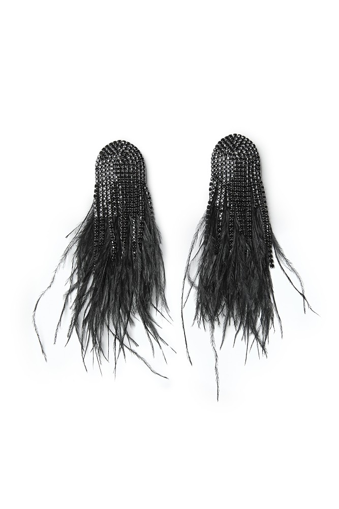 Hanging earrings with feathers