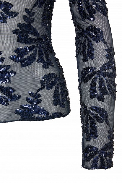 Sheer top with sequin embellishments
