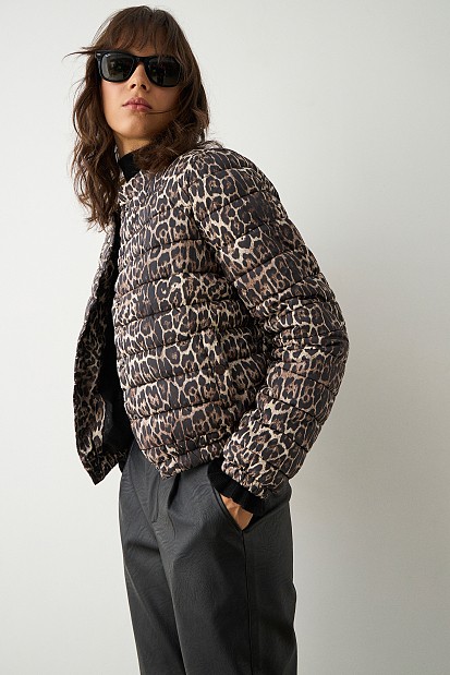 Leopard puffer