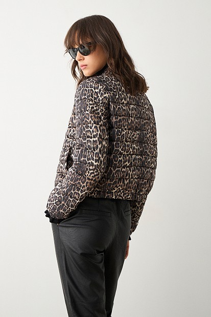 Leopard puffer
