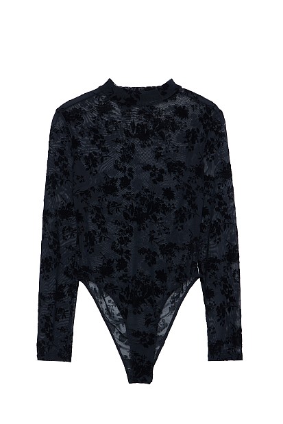 Semi sheer body with long sleeves