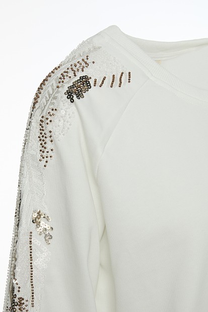 Sweatshirt with embroidered sleeves
