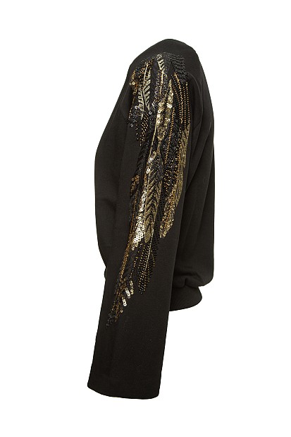 Sweatshirt with embroidered sleeves