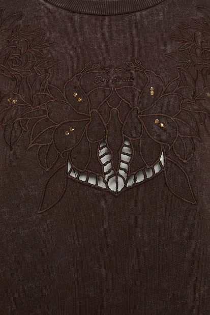 Sweatshirt with embroidered detail