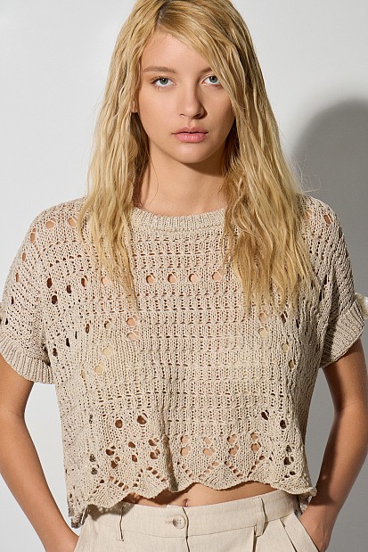 Cutwork shortsleeve sweater