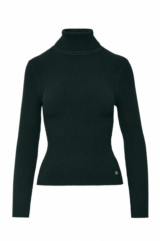 Basic ribbed turtleneck sweater