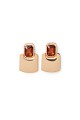Earrings with shiny stone