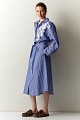 Striped chemise embroidered dress